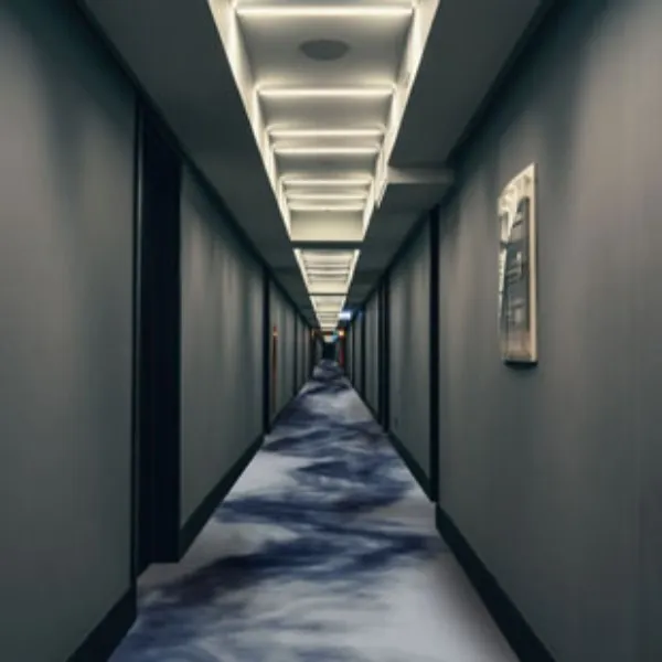 Blue Cut Luxury Hotel Corridor kovrolin