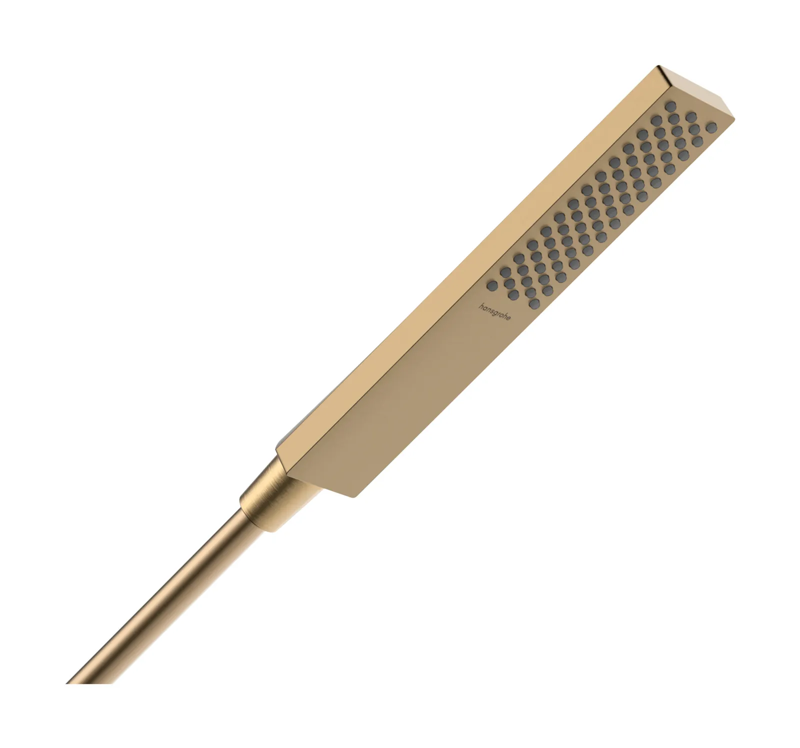 Pulsify E Hand shower rod 100 1jet EcoSmart+