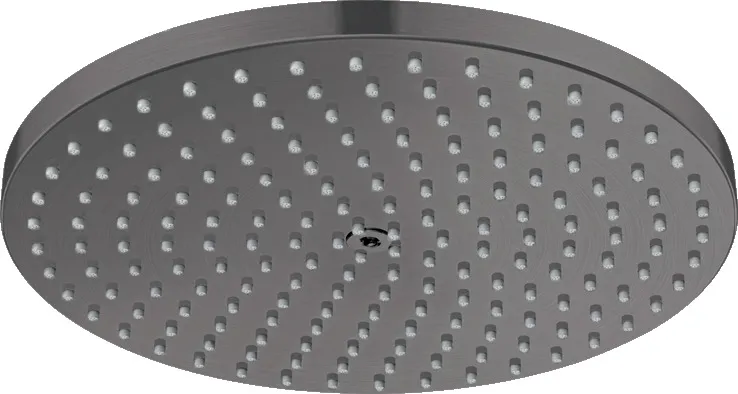 Raindance S Верхний душ 240 1jet PowderRain