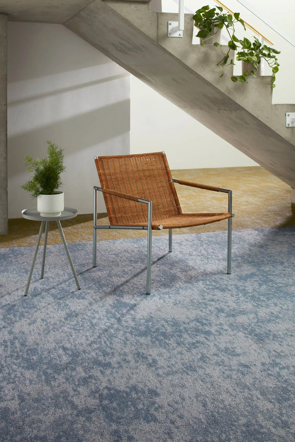Northward Bound 2.0 — Snow carpet tile