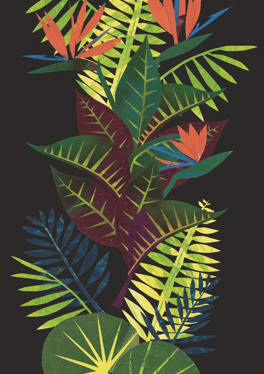 Обои Amazonia - Novos