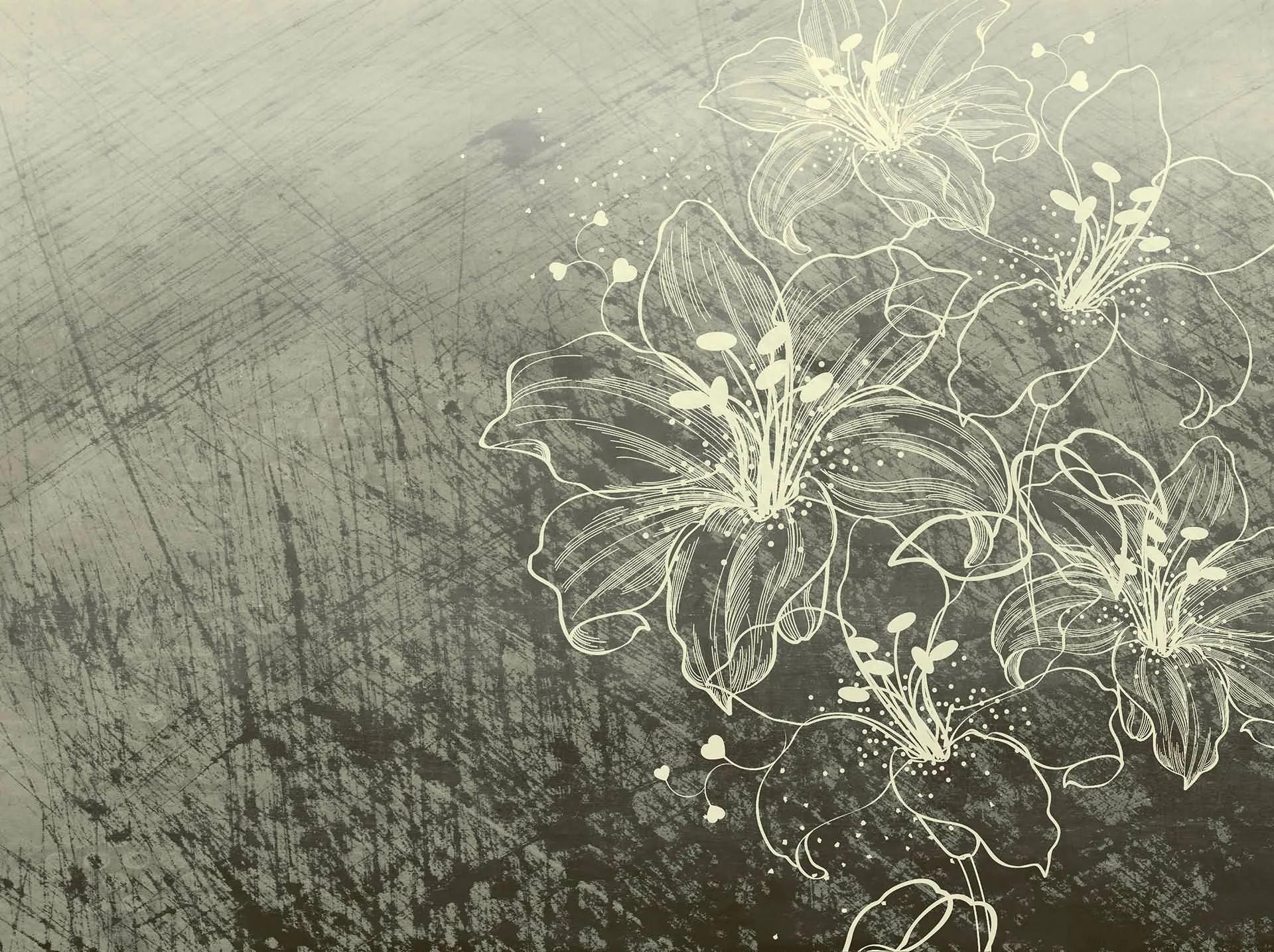 Обои Florals & Botanics