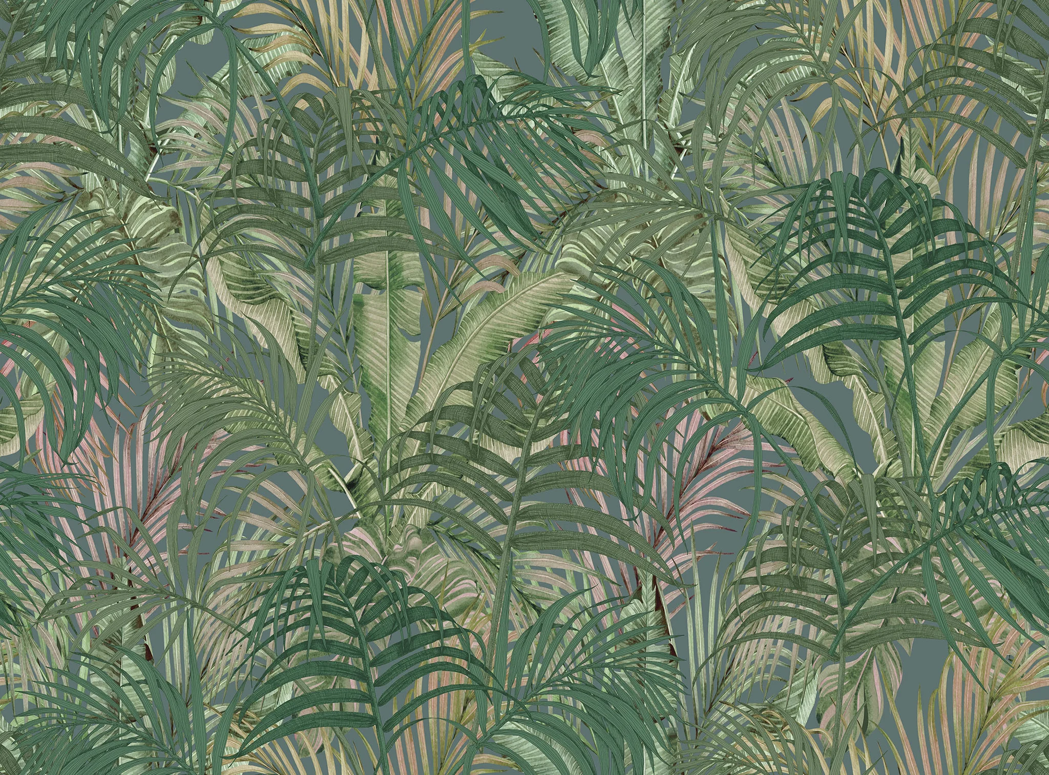 Gulqogʻoz Palm Canopy