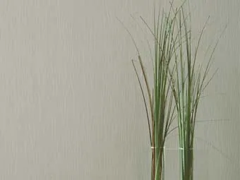 Gulqogʻoz Prairie