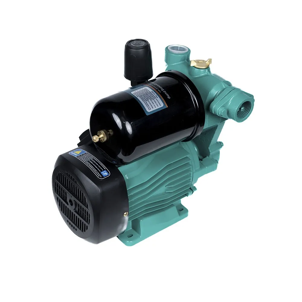 OCO 1WZB-250 avtomatik sirt nasosi