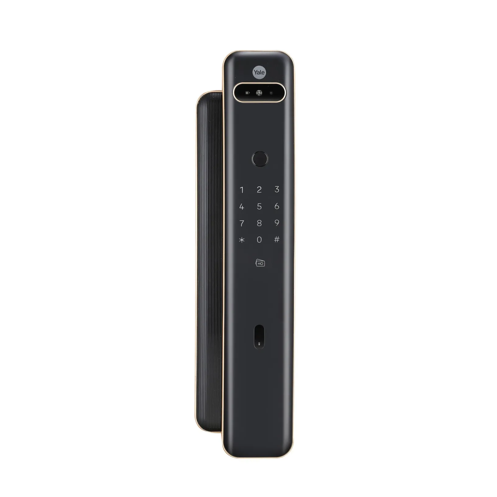 Smart lock with face recognition Luna Pro+