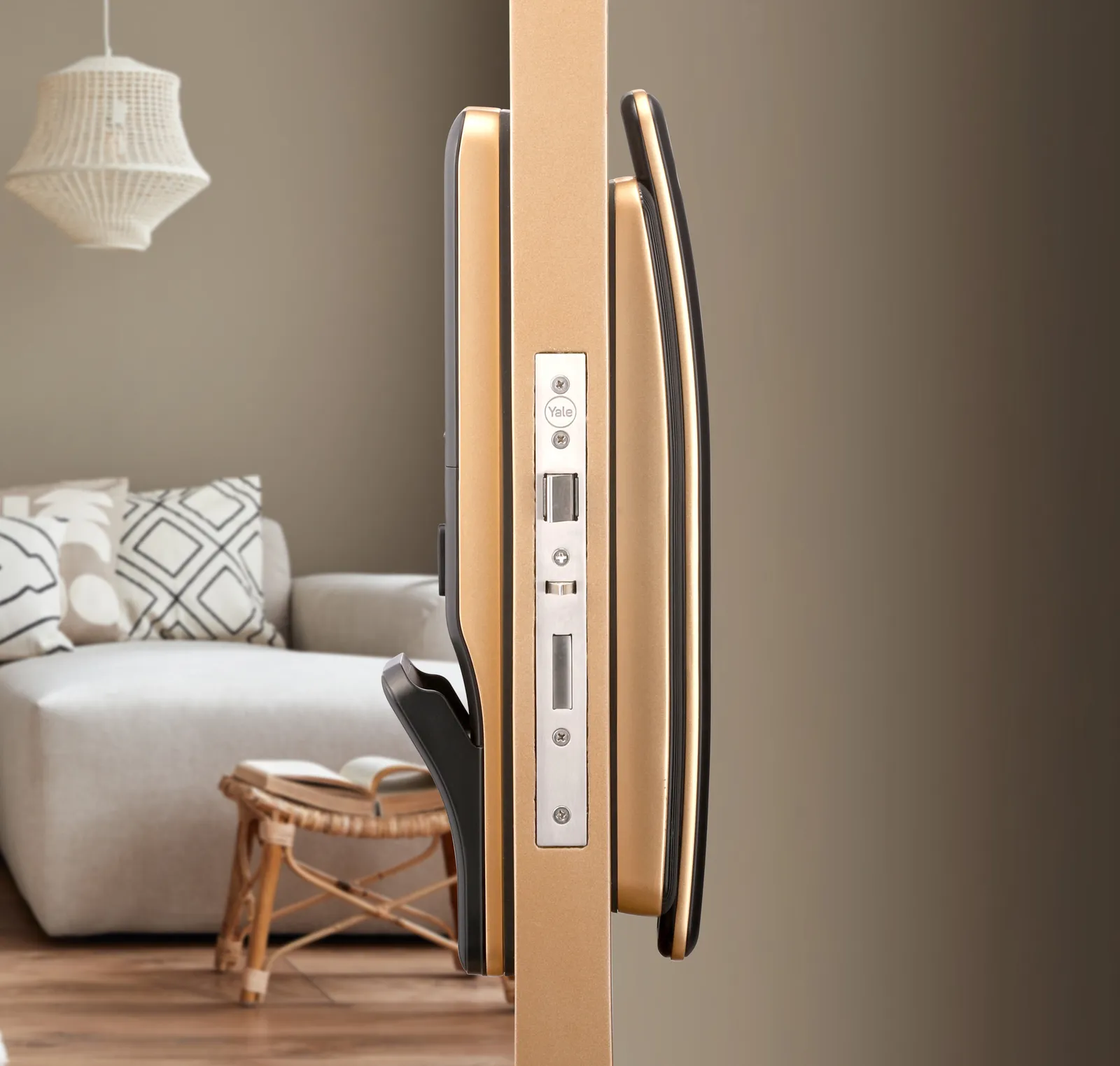 Smart lock with face recognition Luna Pro+